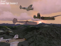 Combat Flight Simulator 3