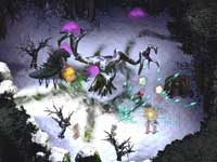 Icewind Dale II