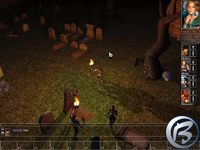 Neverwinter Nights