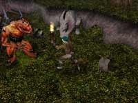 Neverwinter Nights