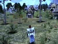 Spellforce: The Order of Dawn