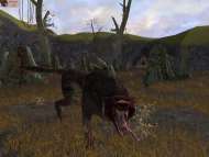 Middle-Earth Online