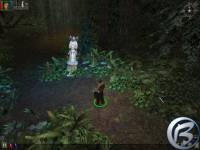 Dungeon Siege - screenshoty