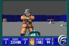 Wolfenstein 3D