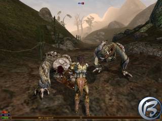 The Elder Scrolls III: Morrowind