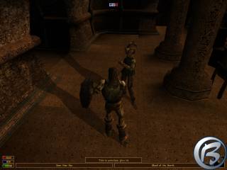 The Elder Scrolls III: Morrowind