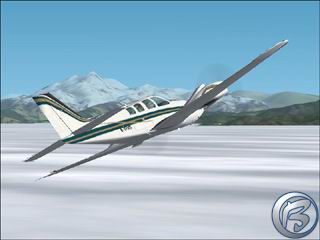 Microsoft Flight Simulator 2002