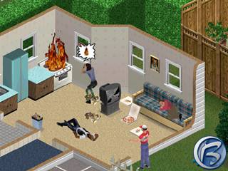 The Sims