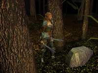 Neverwinter Nights