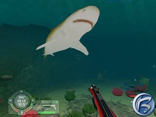 Screenshot ze hry Shark!