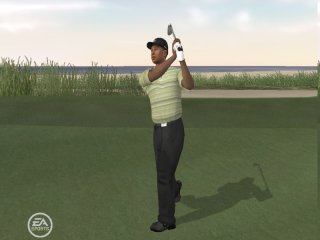 Tiger Woods PGA Tour 08