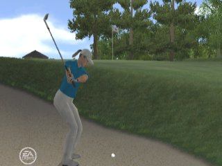 Tiger Woods PGA Tour 08