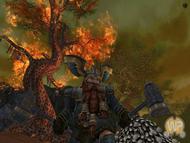 Warhammer Online: Age of Reckoning