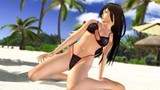 Dead or Alive Xtreme 2