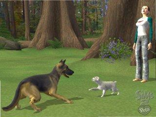 The Sims 2: Pets