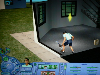 Sims 2: Pets