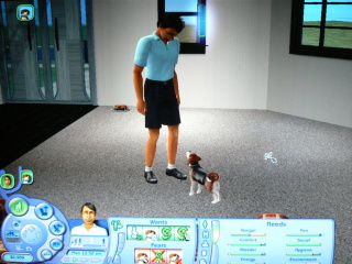 Sims 2: Pets