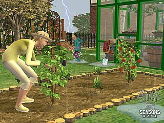 The Sims 2: Seasons