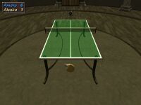 Table Tennis 