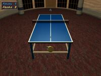 Table Tennis 