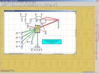 GenoPro 2007 - vt obrzek z programu