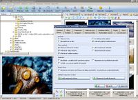 Ashampoo Photo Commander 5 - vt obrzek z programu