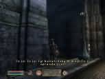The Elder Scrolls IV: Oblivion - větší obrázek ze hry