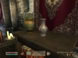The Elder Scrolls IV: Oblivion - vt obrzek ze hry
