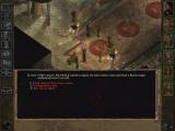 Baldur's Gate II: Shadows of Amn CZ