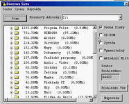 Directory Sizes - vt obrzek z programu