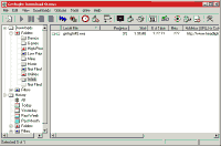 GetRight 5 - vt obrzek z programu