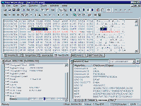 Hex Workshop  - vt obrzek z programu