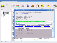 Internet Download Manager - vt obrzek z programu