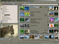 Ulead Photo Explorer 8.0 - vt obrzek z programu