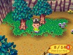 Animal Crossing: Wild World