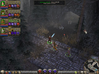 Dungeon Siege 2