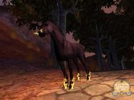 EverQuest: Prophecy of Ro