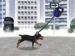 Nintendogs