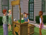This Sims 2: Open For Business