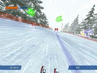 Ski Racing 2006