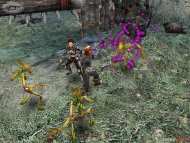 Dungeon Siege II