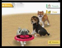 Nintendogs