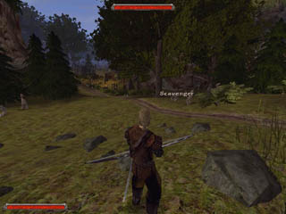 Gothic 2 Addon