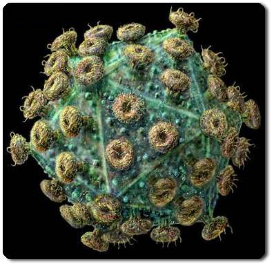 Virus HIV