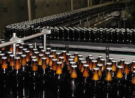Pivovary vyrob rekordn mnostv piva