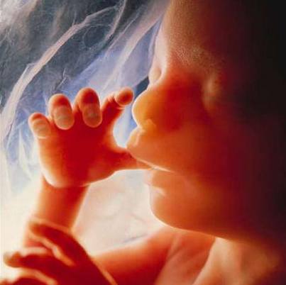 USA uvoluj potratovou politiku