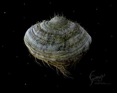 "Veerníkový" Samorost 2.