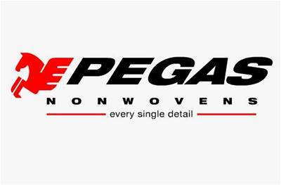 Logo spolenosti Pegas Nonwovens.