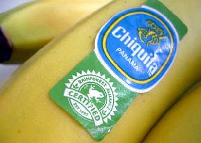 Chiquita si kupovala ochranu u terorist