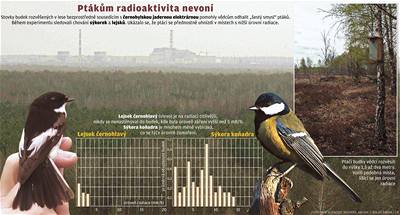 Stovky budek rozvených v lese bezprostedn sousedícím s ernobylskou jadernou elektrárnou pomohly vdcm odhalit estý smysl pták.